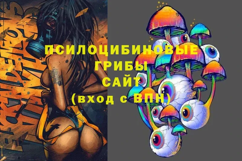 Галлюциногенные грибы Magic Shrooms  Болхов 